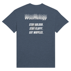 ed73dada-955a-496b-a250-fbc01a54ddc8